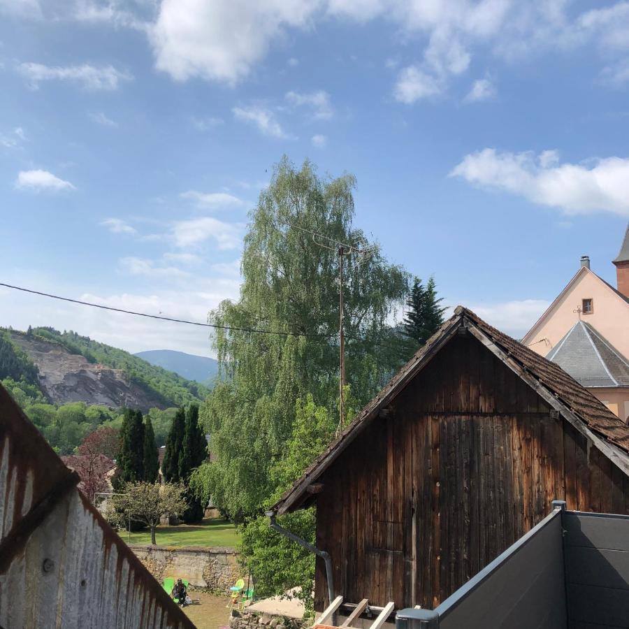 Appartement Vintage A L Ancienne Forge Muhlbach-sur-Munster ภายนอก รูปภาพ